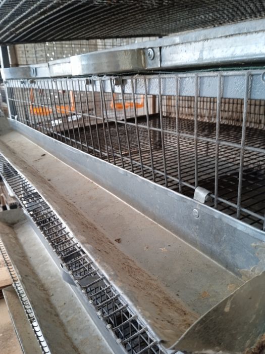 Bedana qafas. Temirdan yasalgan.