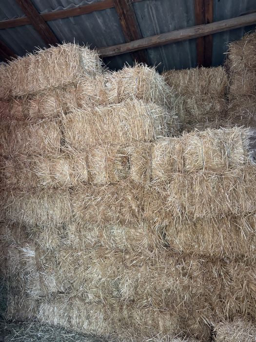 Vând baloți de paie