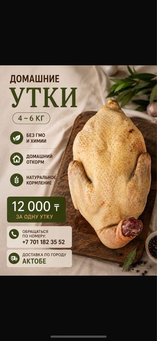 Домашние утки 4-6 кг