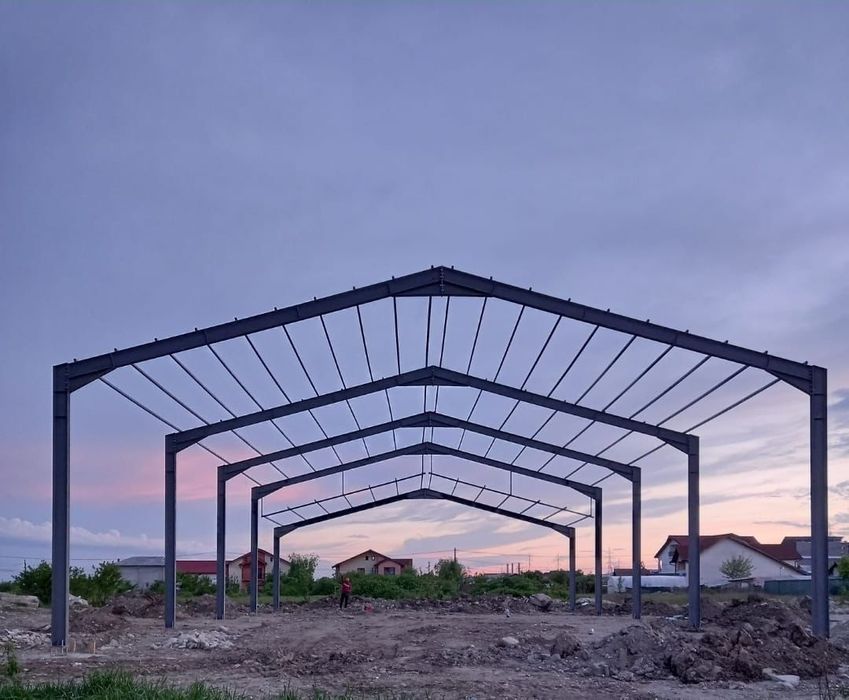 Vand hale metalice și structuri