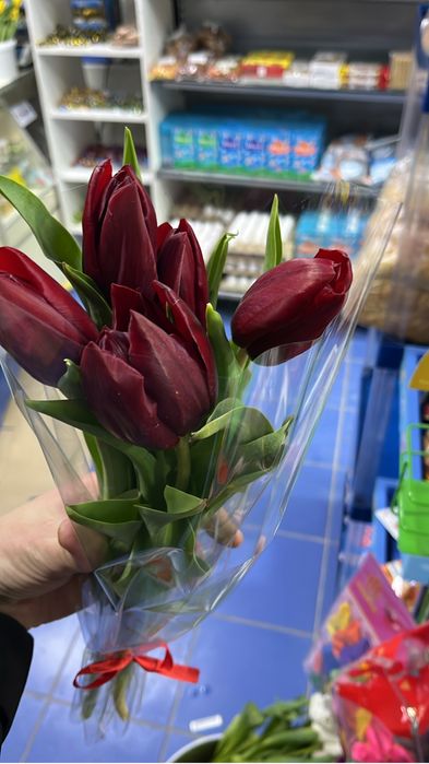 Тюльпаны по 600 тенге