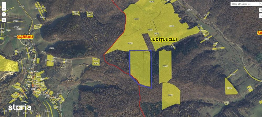 Padure molid 14 Hectare, 30km de Cluj Napoca, sat Sardu, com. Sanpaul
