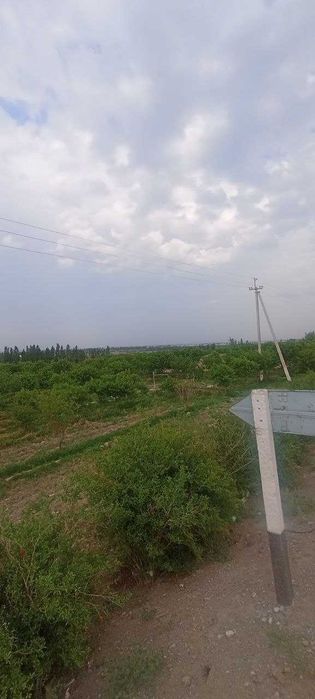 Yer sotiladi bog'lari bilan