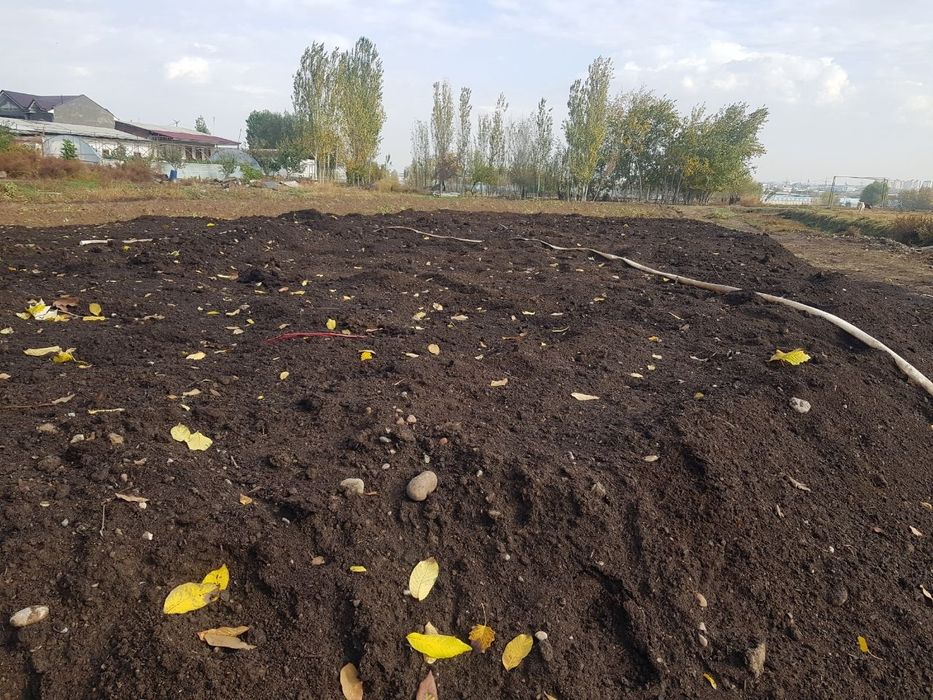 Biogumus gazon va gullar uchun mineral ogit