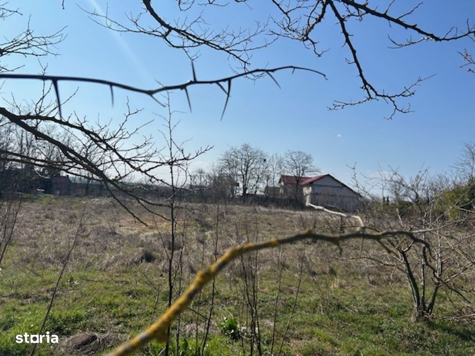 Vadu Corbu Teren superb 1000 mp investitie sau casa de vacanta