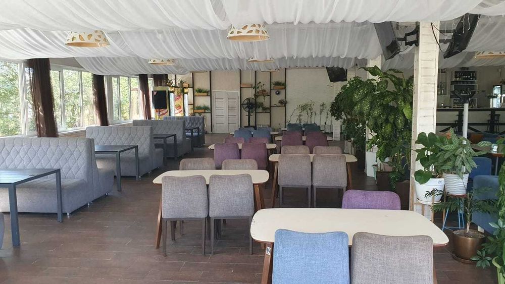 Действующий бизнес