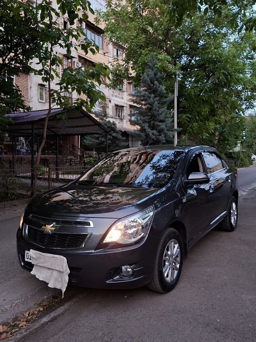 Other Cobalt 2022 — 6