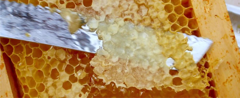 Продам мед в сотах за кг 2000