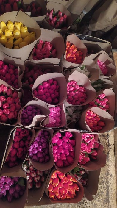 Тюльпаны к 8 марту, оптом и в розницу.