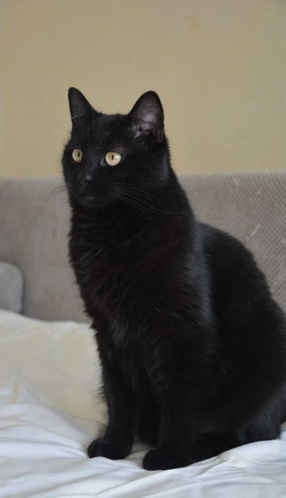 1-годишно момченце от Враца търси ДОМ