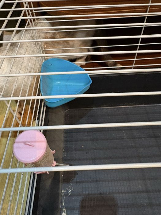 Продам клетку для животных