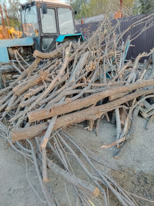 Продам дрова сухостой