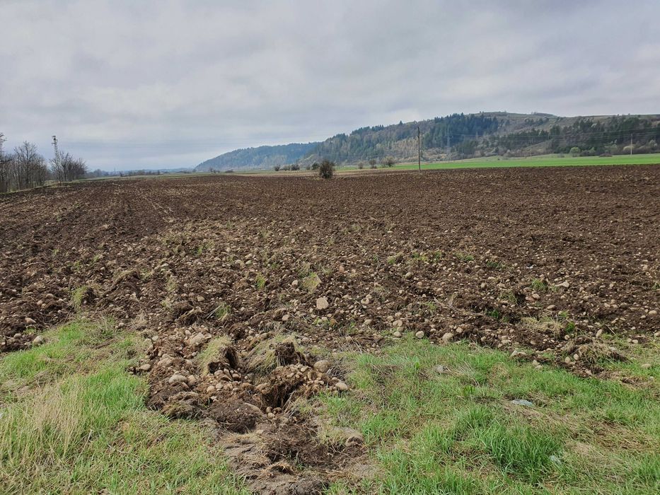 Продава се Парцел в Самоков - 3442 кв.м за 32 €/кв.м - Снимка #6