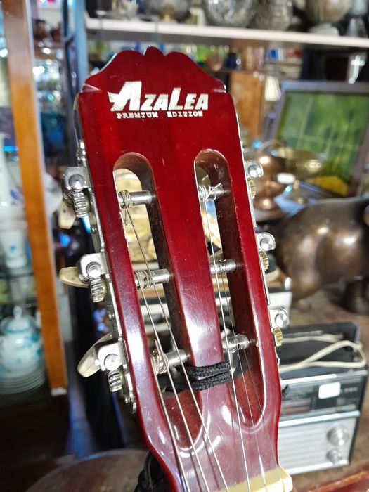 Гитара AZALEA с чехлом