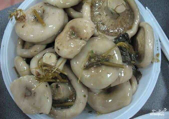 Грузди  соленые  с чесноком