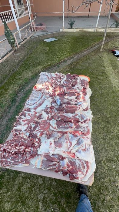 Qoy qochqor qassob hizmatlari 24/7