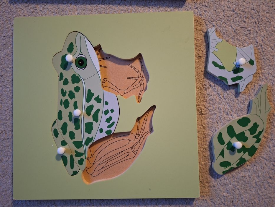Puzzle educational, 24x24 din lemn, broasca, buburuza si pinguin