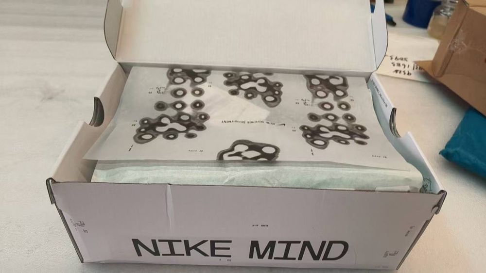 джапанки Nike Mind 001 – р. 46