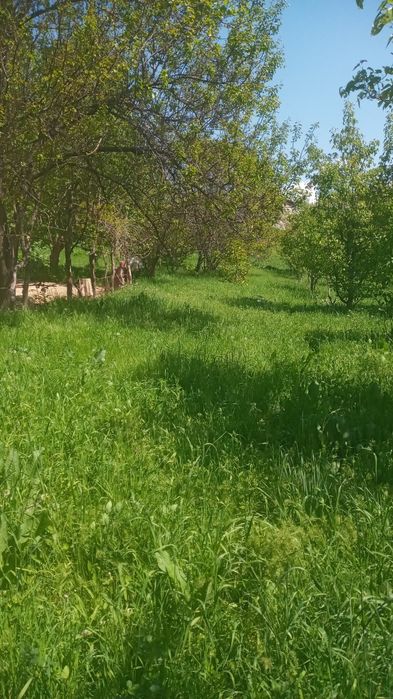 Прадаю дом с садом сад болшой