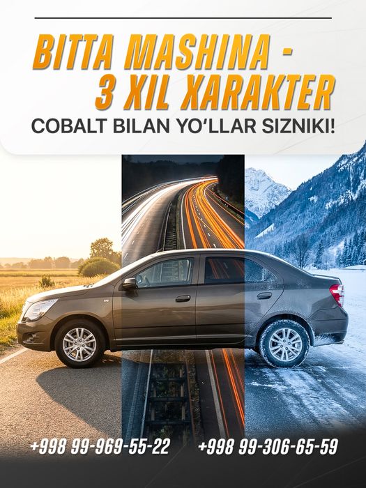 Sport+EConom+Zimniy Programa Cobolt