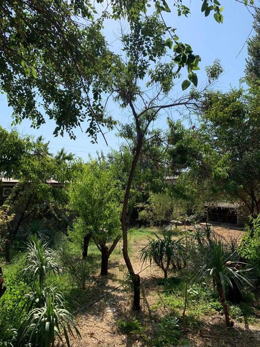 Гостевой дом/Коттедж "Muassanit House" на 2-10 человек