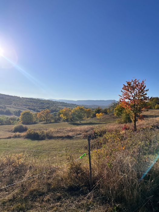 Livada 1 ha - zona de vis aproape de intravilan