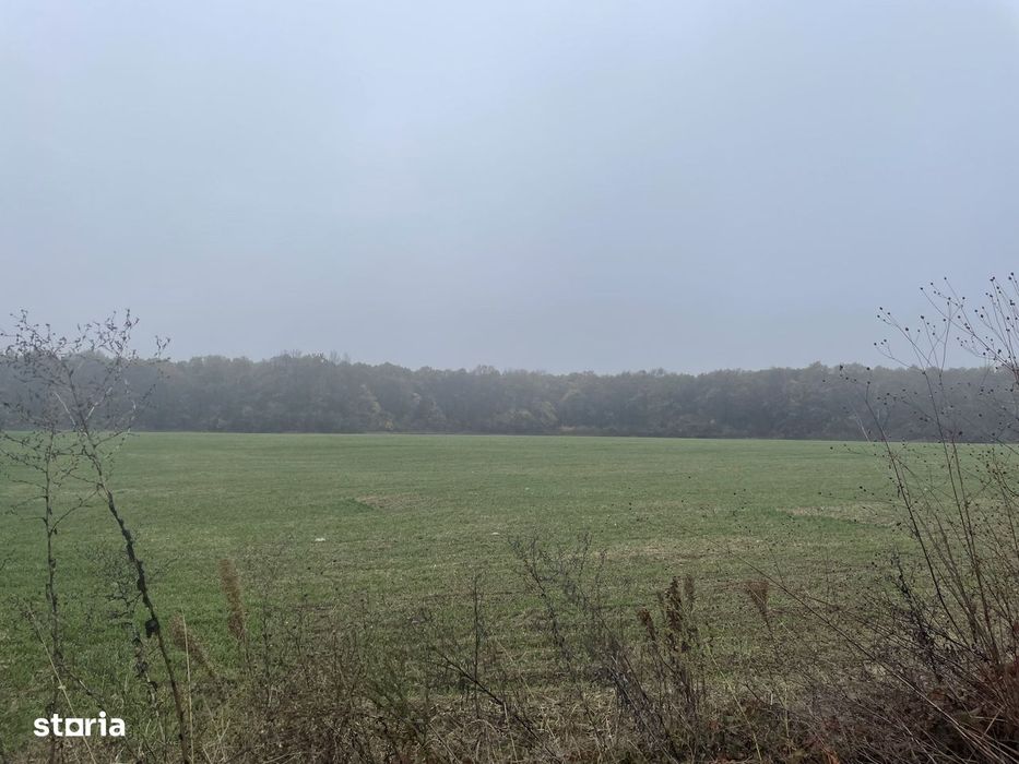 9400 mp | Ideal pentru investitie | Tunari | Deschidere la padure
