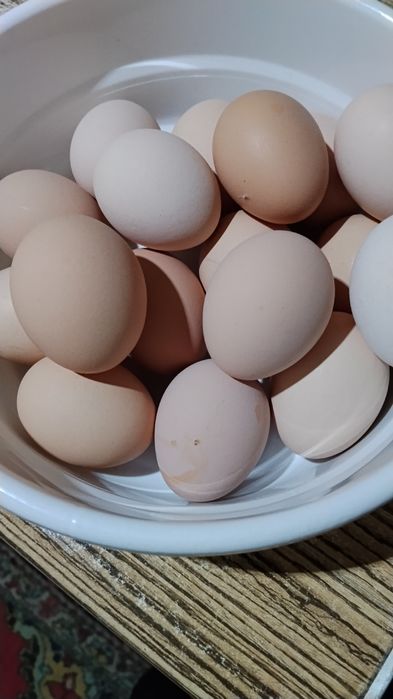 Damashniy tuxumla.Qora tovuqlaniki.Juda mazali,tabiiy