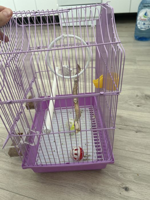 Клетка для попугая