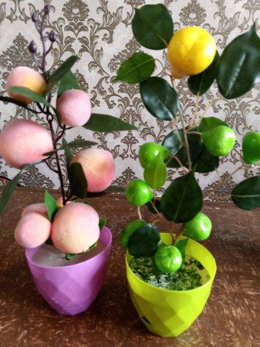 Mevali gullar zakazga tayyorlab beriladi