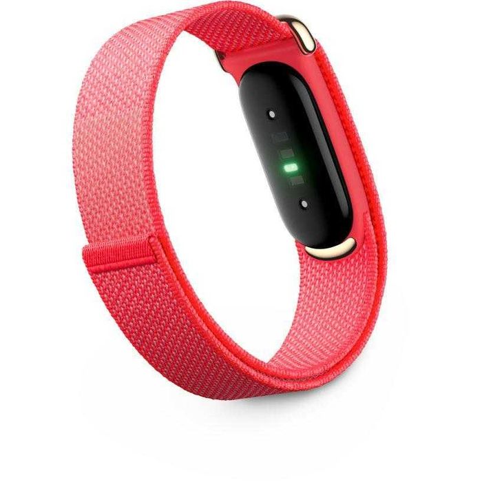 Google fitbit Air
