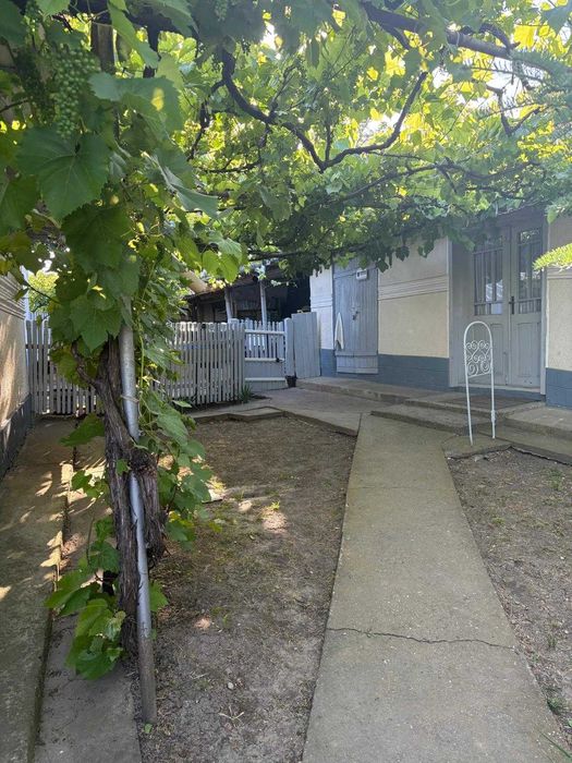 Casa traditionala in localitatea MÎNJEȘTI, la 10 km de Vaslui