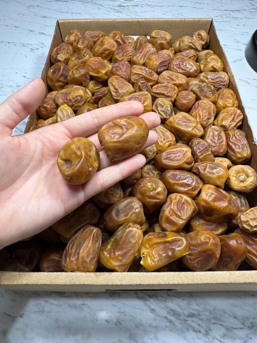 Цукари, суккари, финники, финики, xurmo, sukari, cukari xurmo