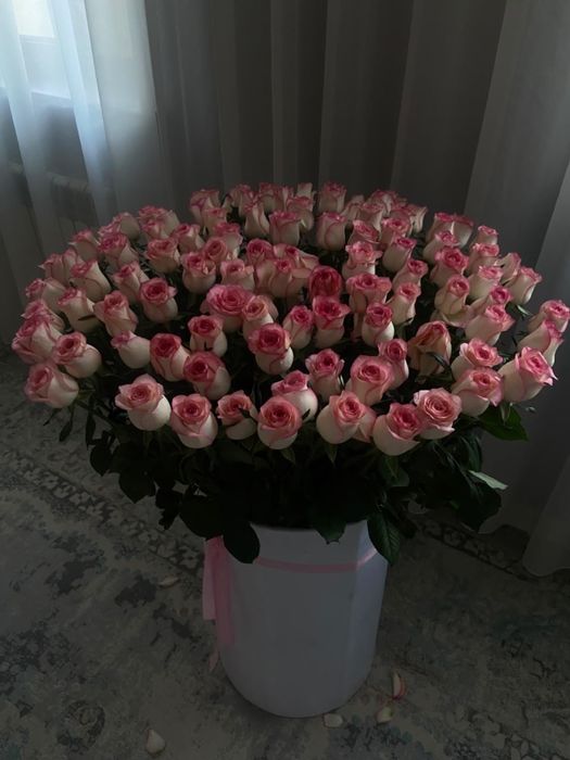 Цветы, гүлдер, .
