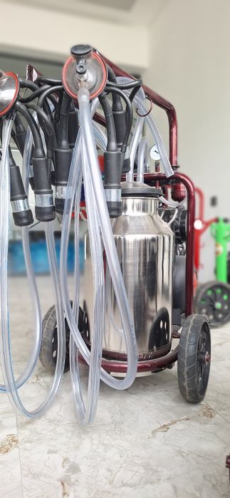 Доильный аппарат.  Sut sog‘ish apparati. Сут соғиш аппарати