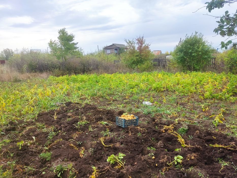 Продам дачный участок 6 соток.