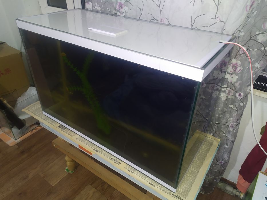 Аквариум 141л + фильтр и рыбки.