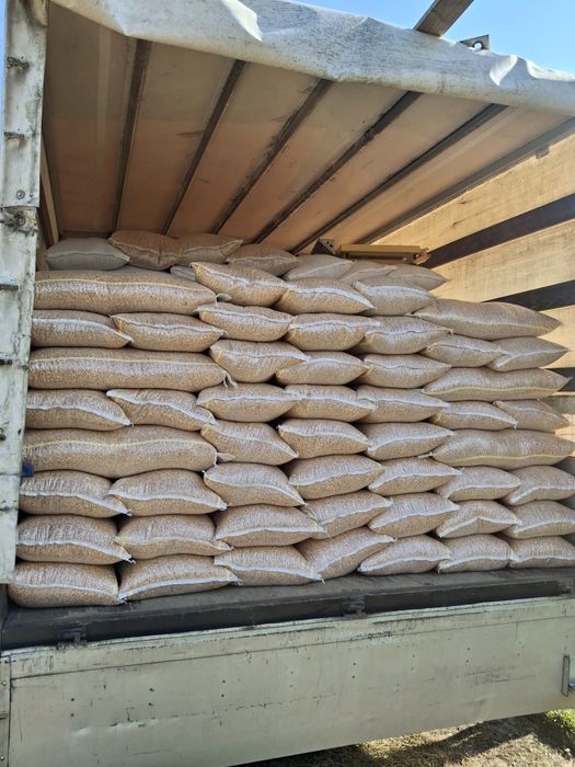 Porumb de vanzare 1,20 kg.