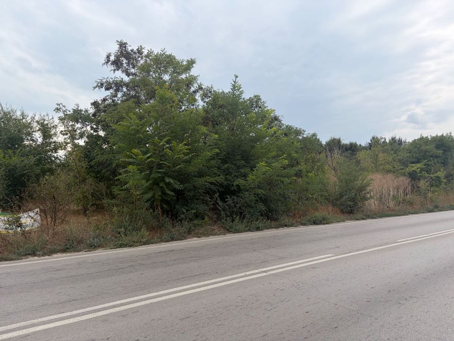 Продава се Парцел в с. Тополи, Област Варна - 3768 кв.м за 80 €/кв.м - Снимка #4