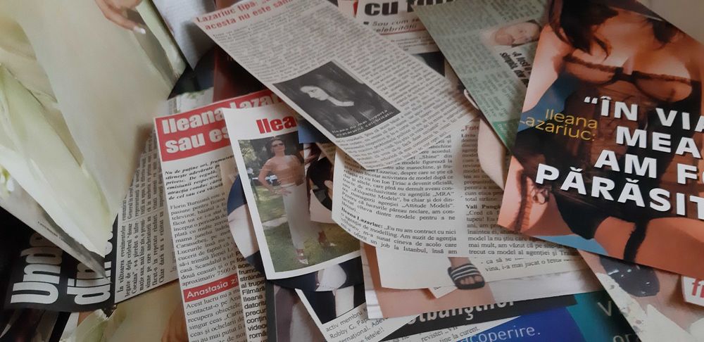 Colectie de articole cu Ileana Lazariuc