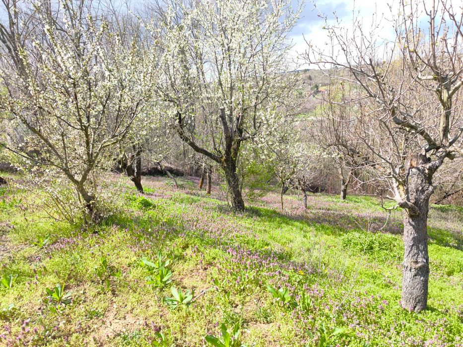 Продава се Къща в Търговище, Вилна зона - 100 кв.м за 459 €/кв.м - Снимка #22