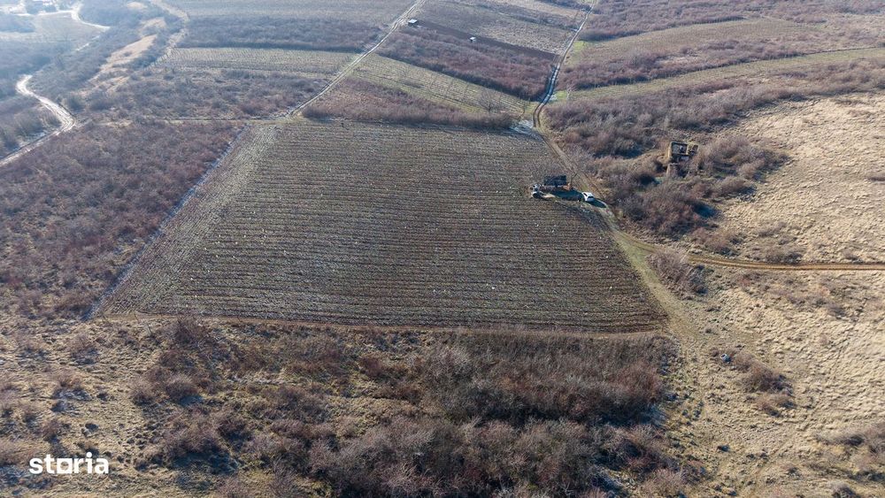 Vita-de-vie Premium  teren de 6800 mp în Covăsinț