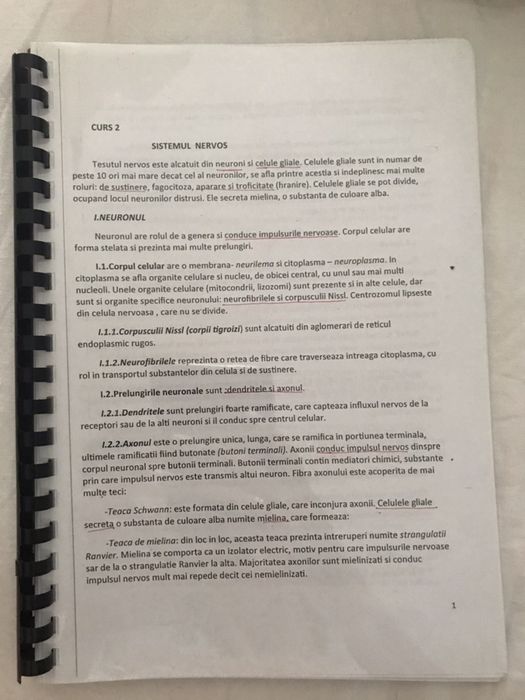 Manuale liceu/ bacalaureat