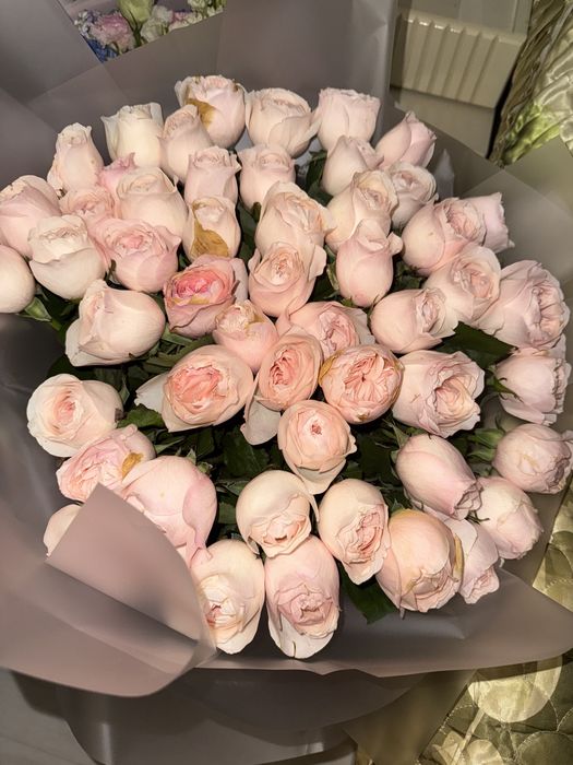 Розыы арзан бағада