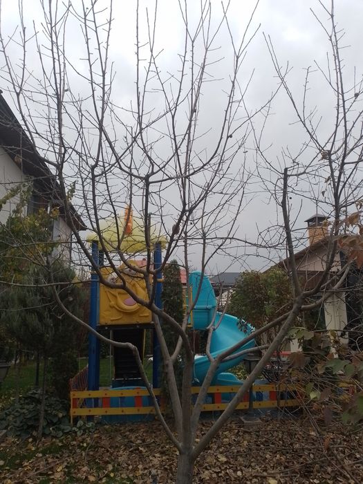 Садовник на обслуживание объектов