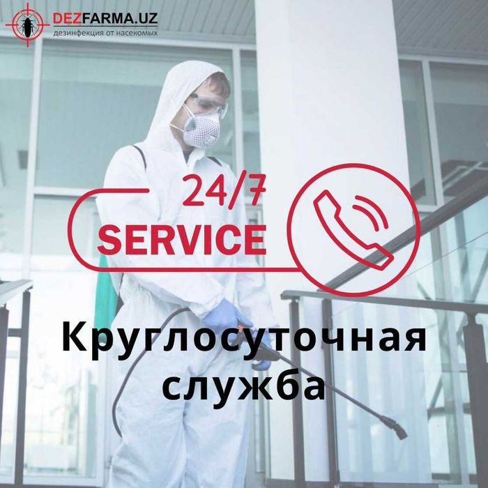 Уничтожение клопов и тараканов Ташкент — Безопасно. Гарантия качество