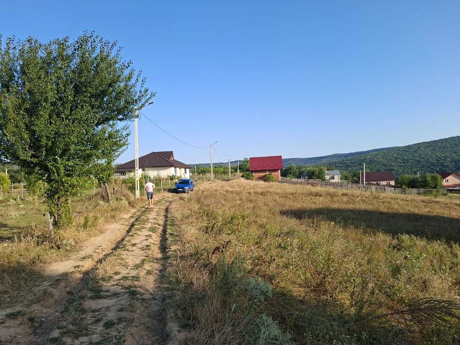 Teren Barnova Iasi