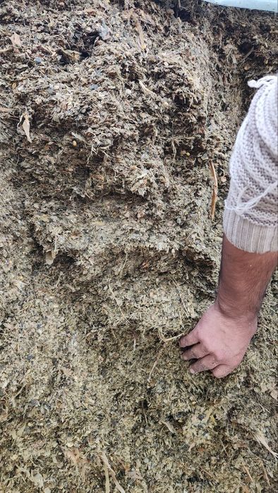 Silos sotiladi. Maxsus tayyorlangan.