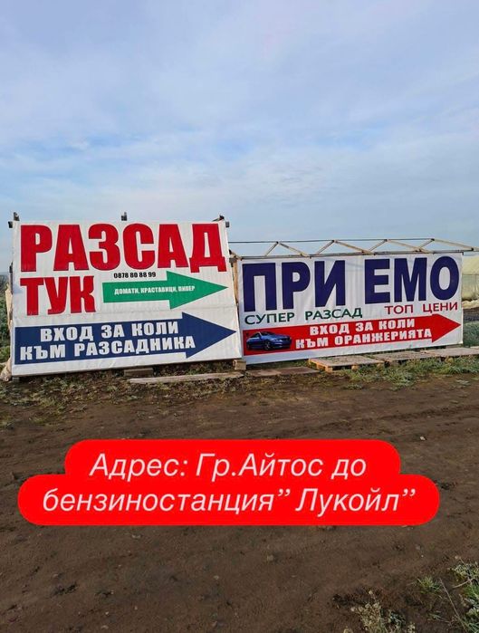 ТОП РАЗСАД НА ТОП ЦЕНА!!!