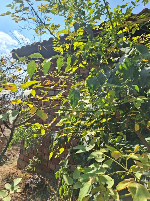 Продава се Парцел в София, Красна поляна 1 - 1100 кв.м за 12 €/кв.м - Снимка #9